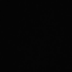 Meet your Posher, Samuel